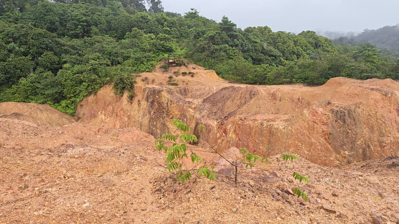 Gold and bauxite mining 35